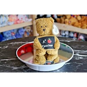 TY Beanie Baby - Cool Teacher the Bear | Tush Tag Issues | Vintage | Rare